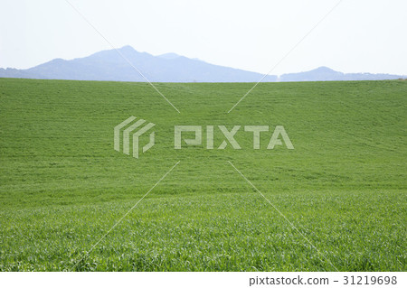 Seosan Ranch, Seosan City, Chungnam Seosan Ranch, Seosan City, Chungnam 31219698