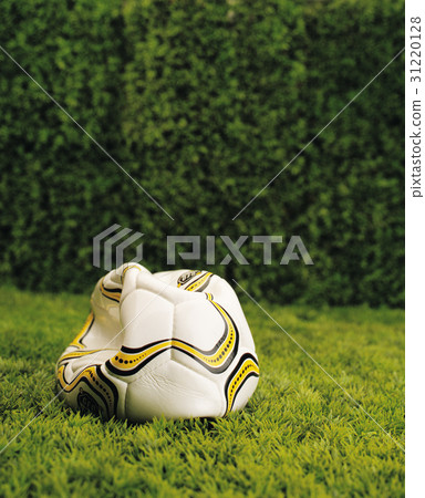 soccer ball 31220128