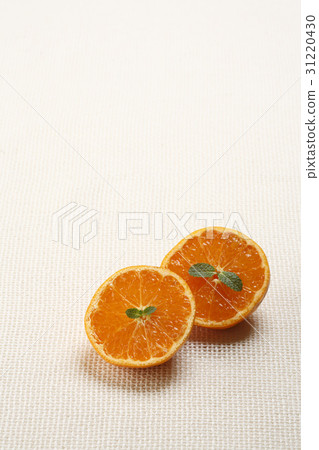 tangerine 31220430