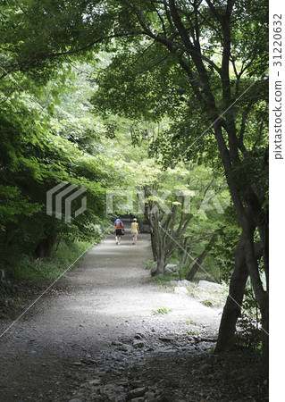 Seonunsa，Seonwoonsan，Gochang-gun，Jeonbuk 31220632