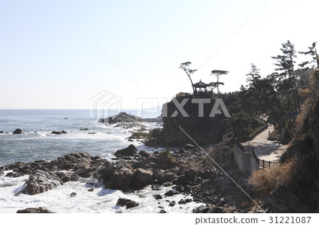 Pine Tree, Costume House (Historic Site No. 495), Naksansa Temple, Yangyang-gun, Gangwon-do 31221087