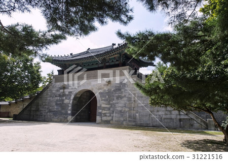 Pine, Yeongcheum, Gyeongbokgung, Jongno-gu, Seoul Pine, Yeongcheum, Gyeongbokgung, Jongno-gu, Seoul 31221516
