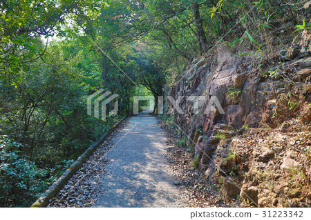 Middle Gap Rd, The Peak at Aberdeen Middle Gap Rd, The Peak at Aberdeen 31223342