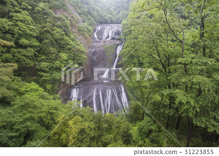 綠色綠色的Fukuroda瀑布 31223855