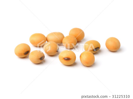 soy beans on white background. 31225310