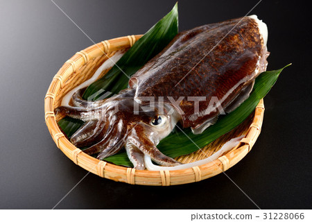 棕褐色 31228066