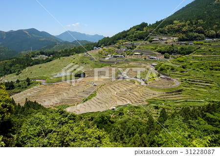 Spring Maruyama Senjita 31228087