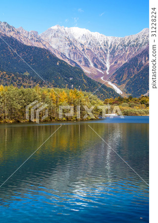 Kamikochi的秋天顏色 31228224