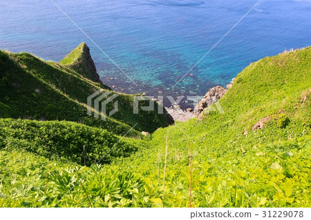 Sea of Shakotan Blue · Cape God 31229078