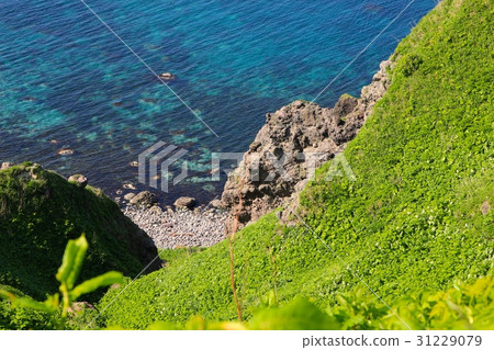 Sea of Shakotan Blue · Cape God 31229079