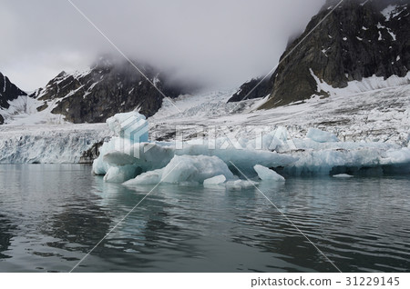 北極景觀 31229145