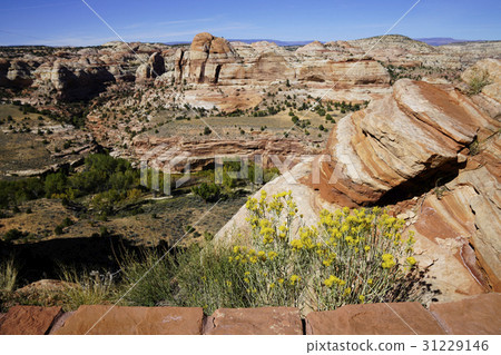 Utah state landscape 31229146