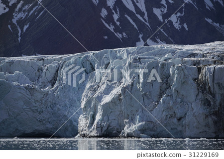 Arctic landscape 31229169