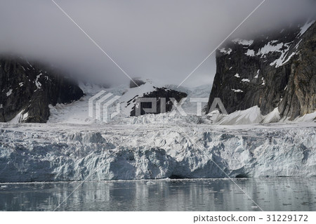 北極景觀 31229172