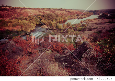 Rural autumn landscape 31229397