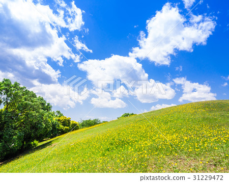 藍天和新鮮的青山 31229472