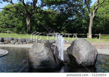  公園 31229854