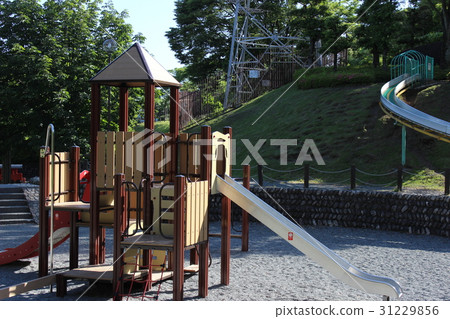  park 31229856