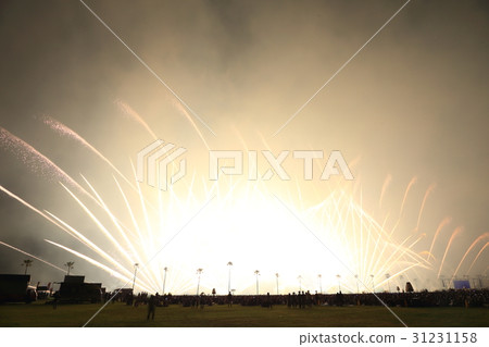 Art Firework Display Art Firework Display 31231158