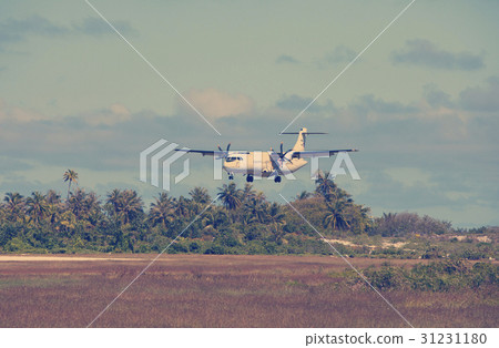 Airplane landing on a landing band among palm tree Airplane landing on a landing band among palm tree 31231180