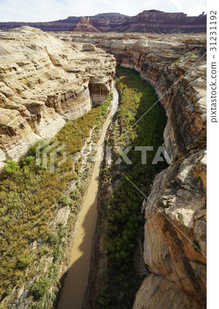  The Colorado River 31231192