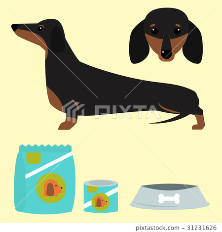 Dachshund dog playing vector illustration elements 31231626