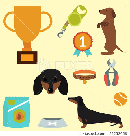 Dachshund dog playing vector illustration elements 31232068