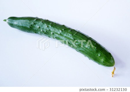 黃瓜 31232130