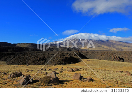 Snowcovered Volcano Tromen, Argentina Snowcovered Volcano Tromen, Argentina 31233370