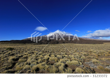 Snowcovered Volcano Tromen, Argentina Snowcovered Volcano Tromen, Argentina 31233372