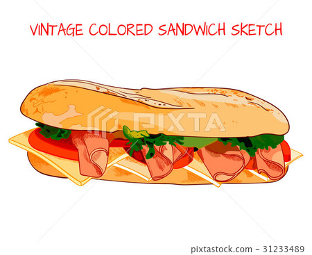 Vintage colored sandwich sketch, VECTOR 31233489