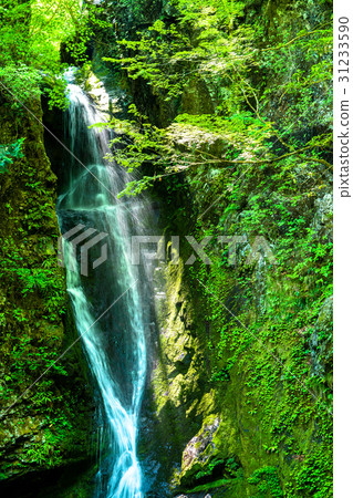 "Tokyo Metropolis" Haizawa Gorge, Otaki "Okutama" "Tokyo Metropolis" Haizawa Gorge, Otaki "Okutama" 31233590