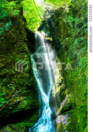 “東京都”海澤峽,大瀧“奧多摩” “東京都”海澤峽,大瀧“奧多摩” 31233591