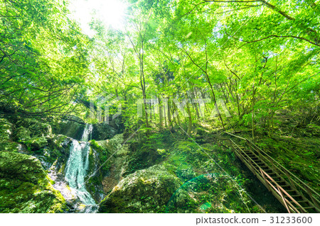 “東京都政府”海澤谷·Mitsuketa瀑布“奧多摩” “東京都政府”海澤谷·Mitsuketa瀑布“奧多摩” 31233600