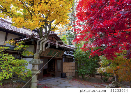 Autumn leaves of Minchochang (Morioka city, Iwate prefecture) 31233934
