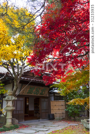 Minchochang（岩手縣盛岡市）的秋葉 31233935