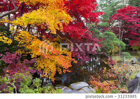 Minchochang（岩手縣盛岡市）的秋葉 31233985