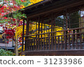 Autumn leaves of Minchochang (Morioka city, Iwate prefecture) 31233986