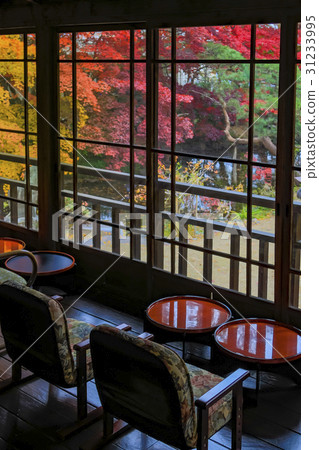 Autumn leaves of Minchochang (Morioka city, Iwate prefecture) Autumn leaves of Minchochang (Morioka city, Iwate prefecture) 31233995