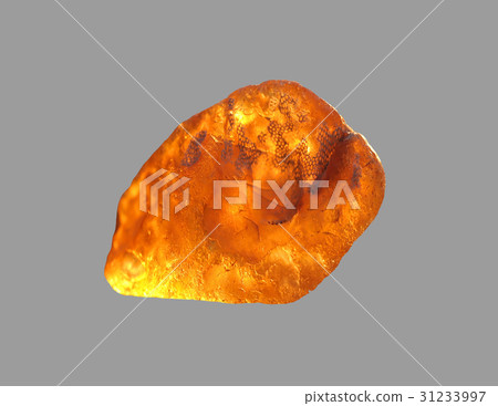 Amber on an isolated gray background. 31233997