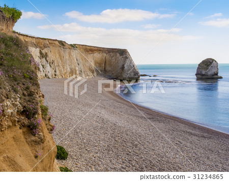 Isle of Wight in summer Isle of Wight in summer 31234865