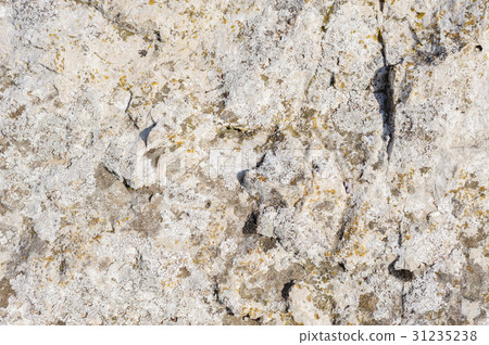 Natural rock with lichen texture Natural rock with lichen texture 31235238