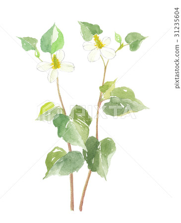 Dogwa Ten Drugs Dogwa Ten Drugs 31235604