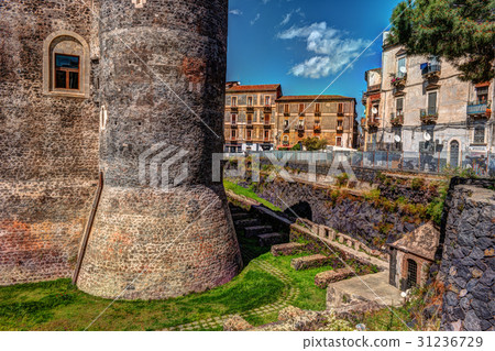 Panorama of the Castello Ursino 31236729