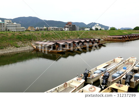 Ugai of Nagara River. 2 (Nagara, Gifu City) Ugai of Nagara River. 2 (Nagara, Gifu City) 31237299
