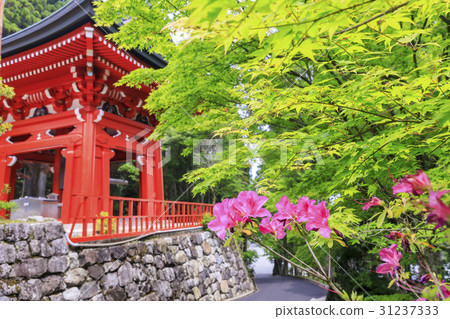 Hieiyan Enryakuji Higashi Tower區 31237333