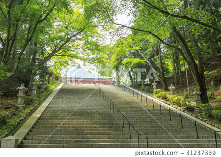 Hieiyan Enryakuji Higashi Tower area Hieiyan Enryakuji Higashi Tower area 31237339
