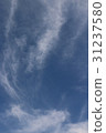 Summer sky 31237580