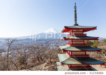 Chureito pagoda and Fuji Mountain in the morning Chureito pagoda and Fuji Mountain in the morning 31238866