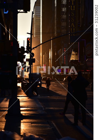 New York · Manhattan dyed in the morning sun 31239002